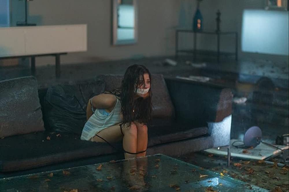 サイバー・リベンジャーの画像