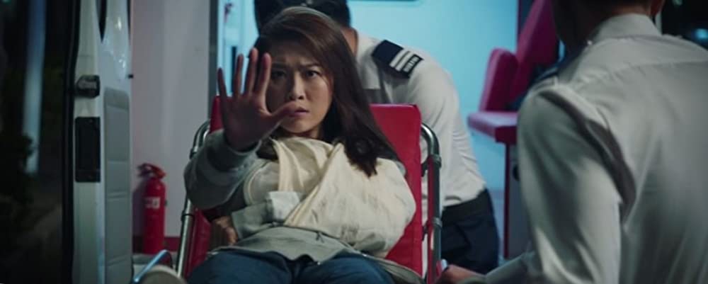 燃えよデブゴン／TOKYO MISSIONの画像