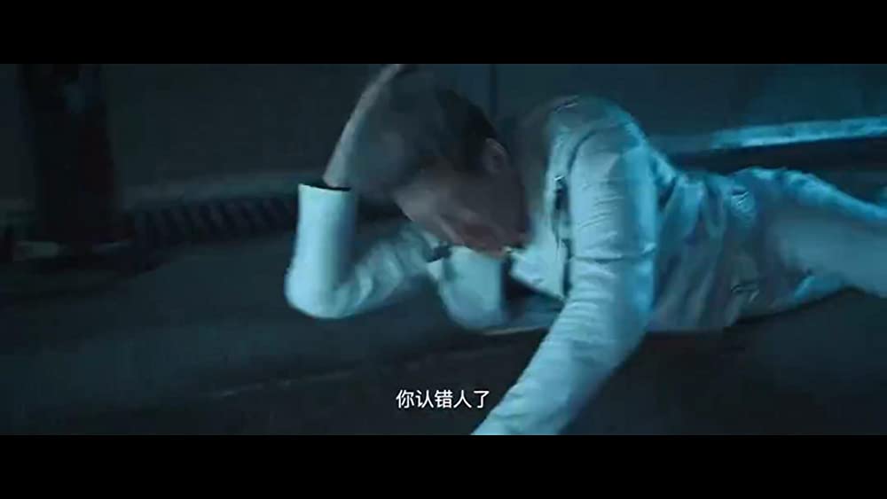 燃えよデブゴン／TOKYO MISSIONの画像