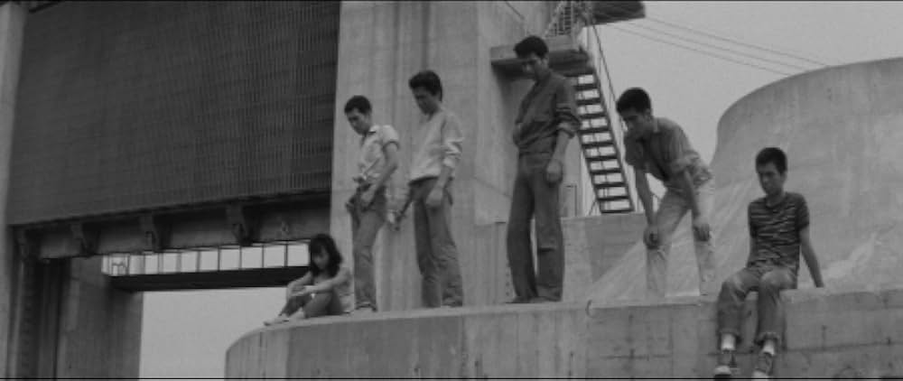 狼と豚と人間の画像