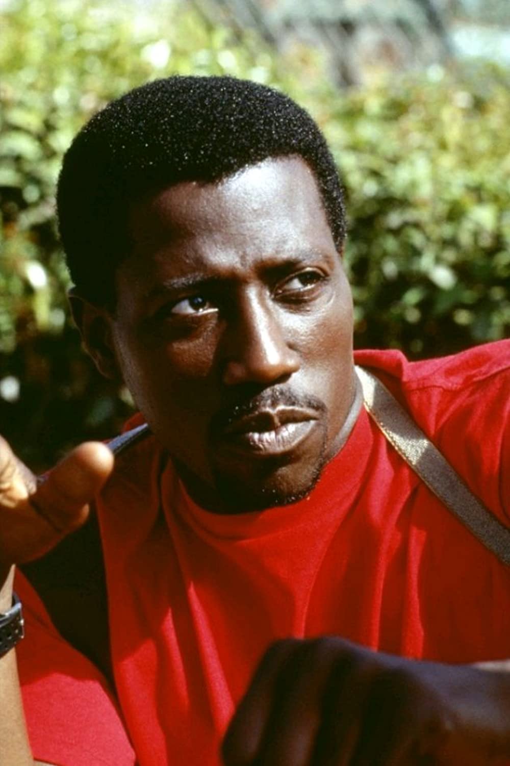 ライジング・サンの画像