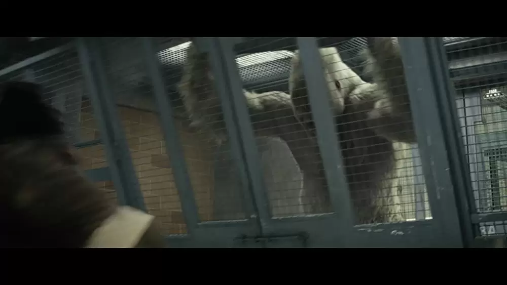 ランペイジ 巨獣大乱闘の画像