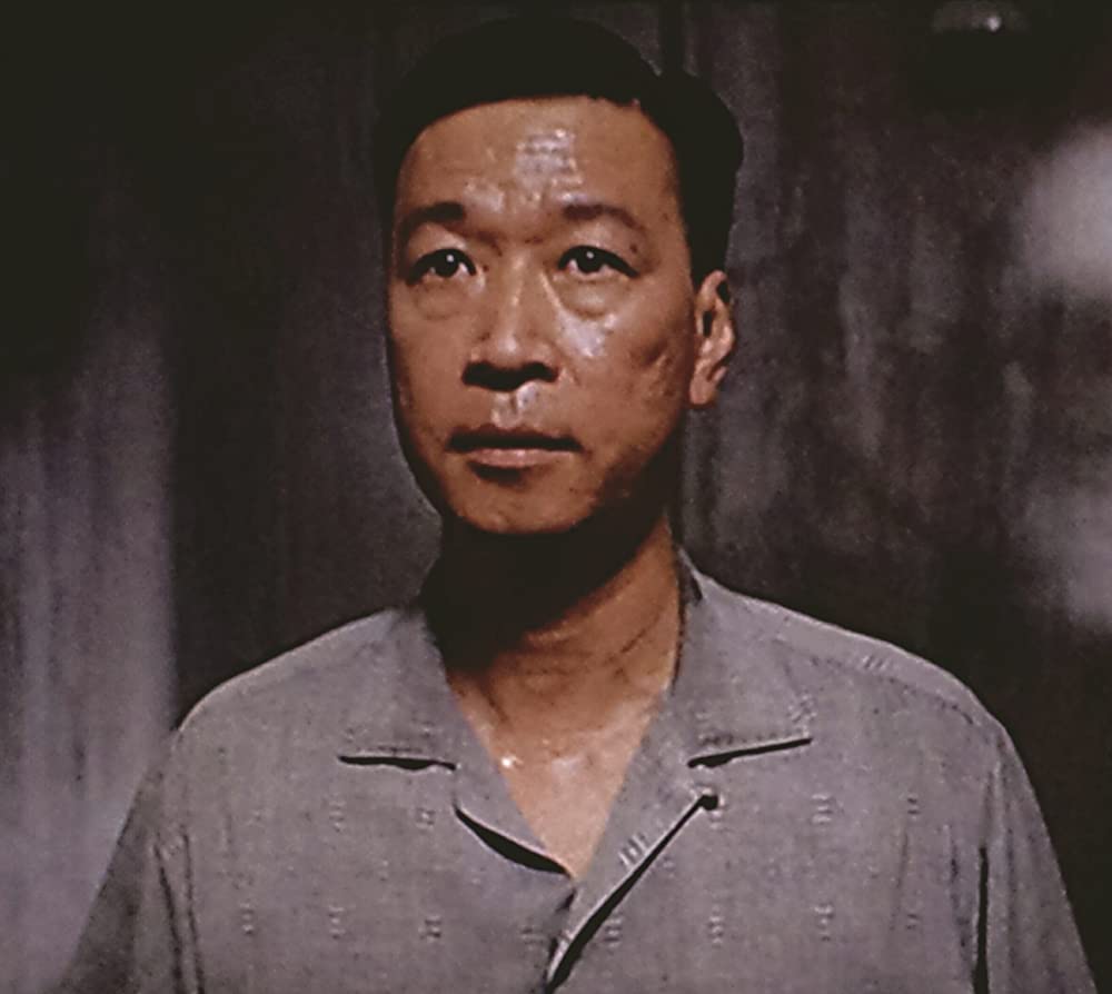 愛の落日の画像