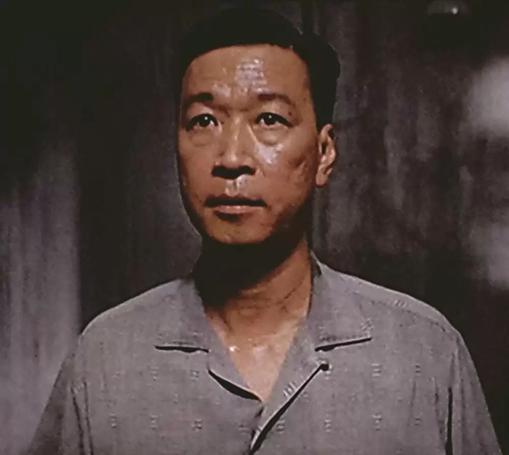 愛の落日の画像