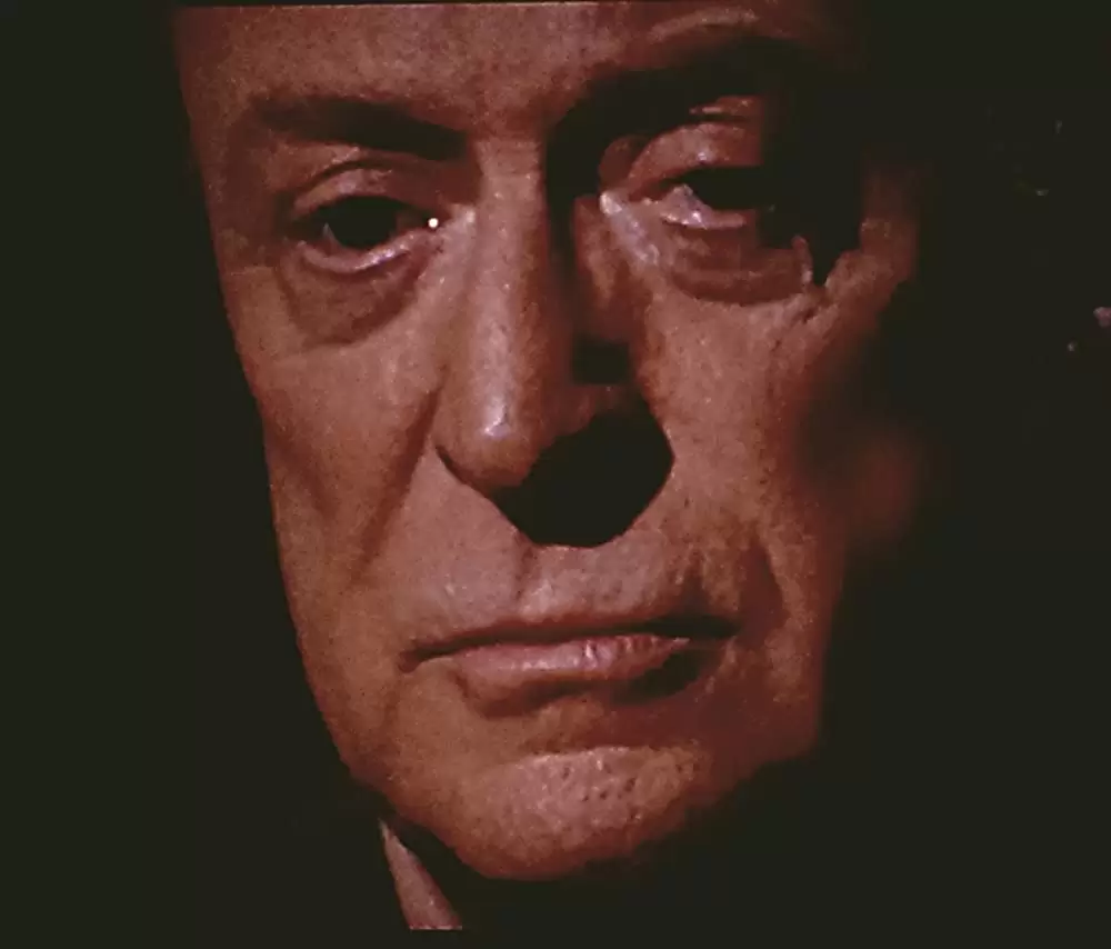 「愛の落日」マイケル・ケインの画像