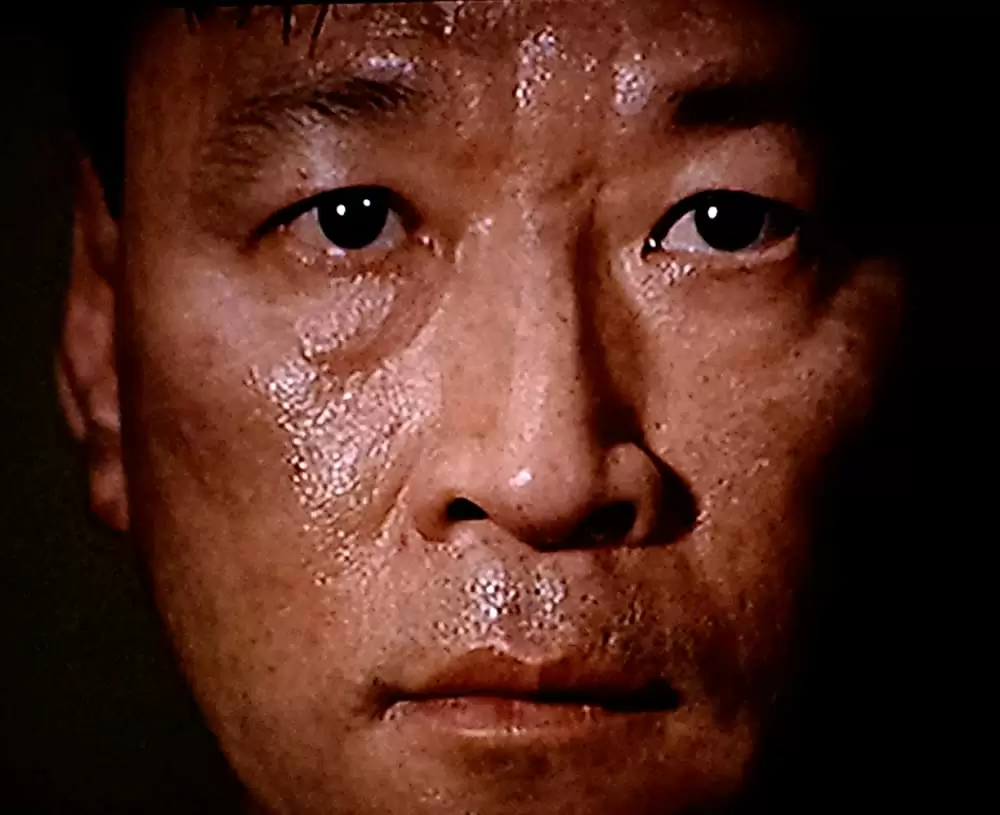 愛の落日の画像