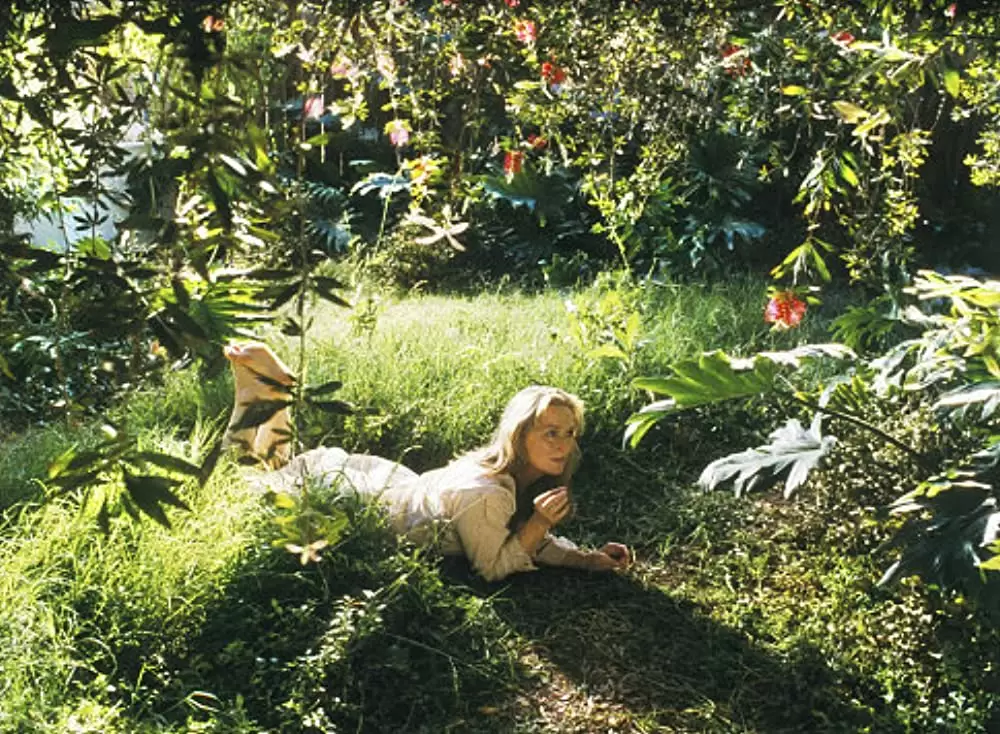 アダプテーションの画像