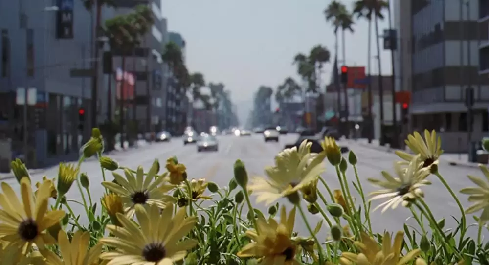 アダプテーションの画像