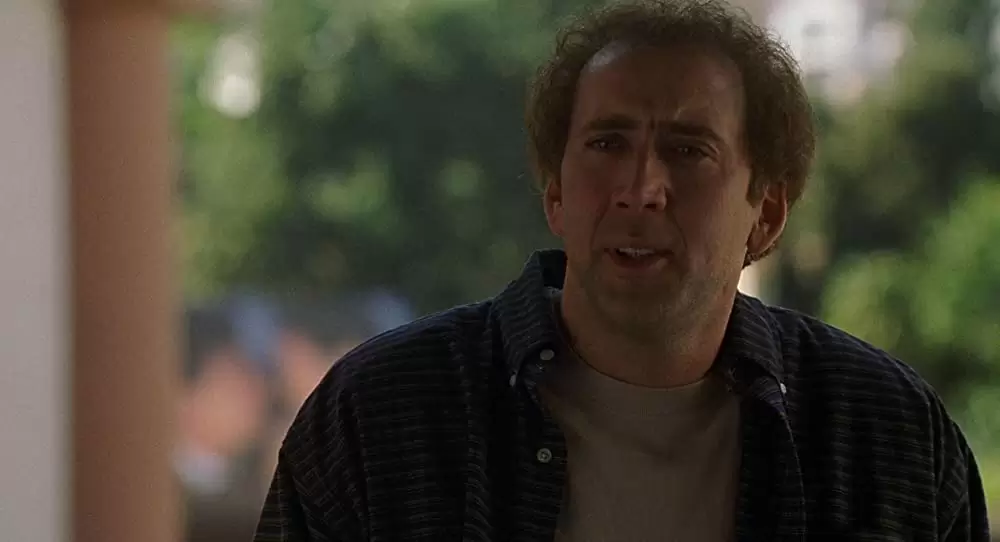 アダプテーションの画像