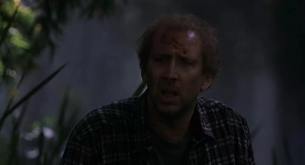 アダプテーションの画像