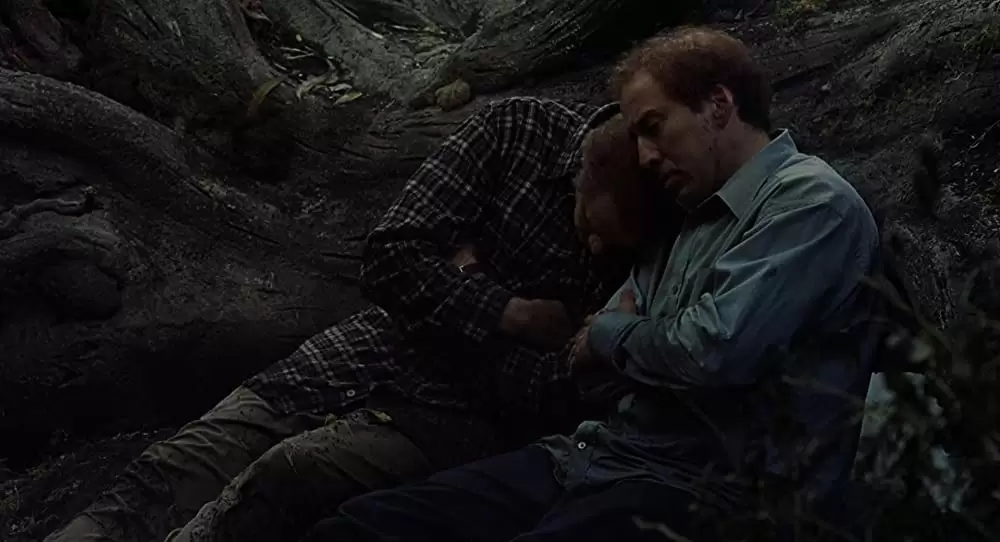 アダプテーションの画像