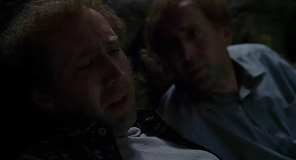 アダプテーションの画像