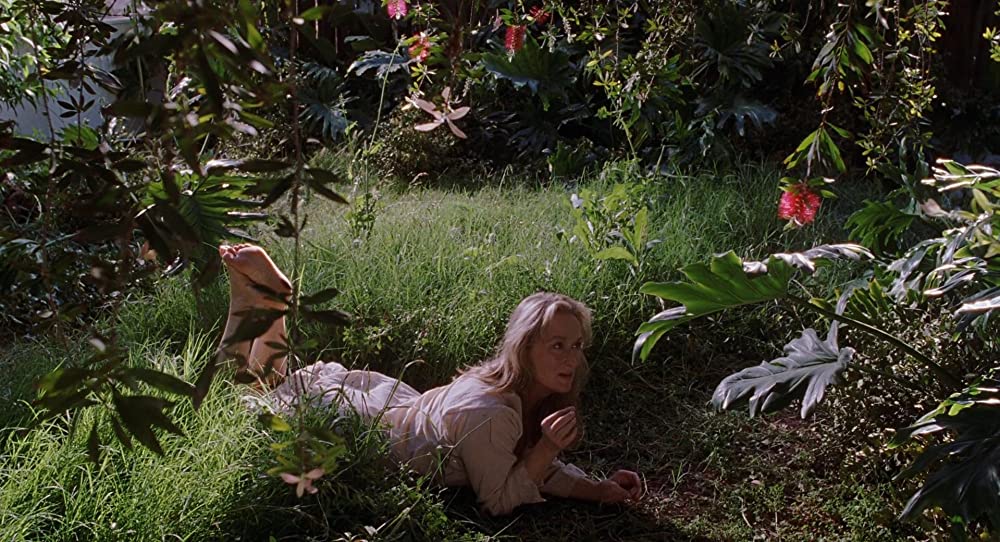 アダプテーションの画像