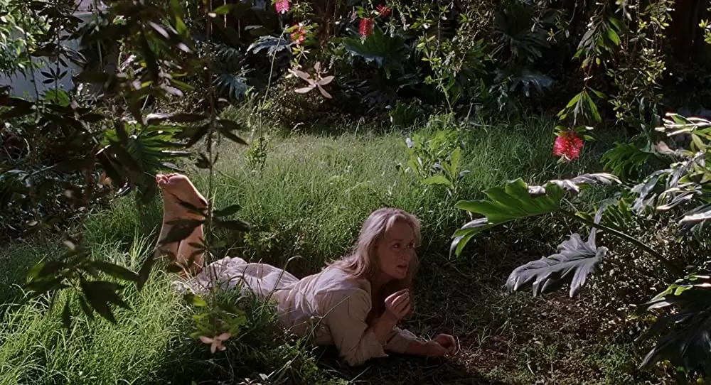 アダプテーションの画像