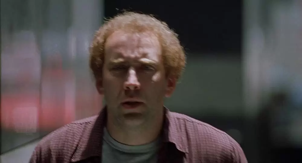 アダプテーションの画像