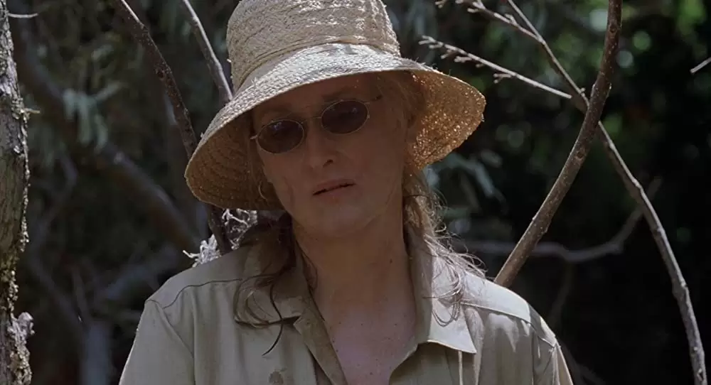 アダプテーションの画像