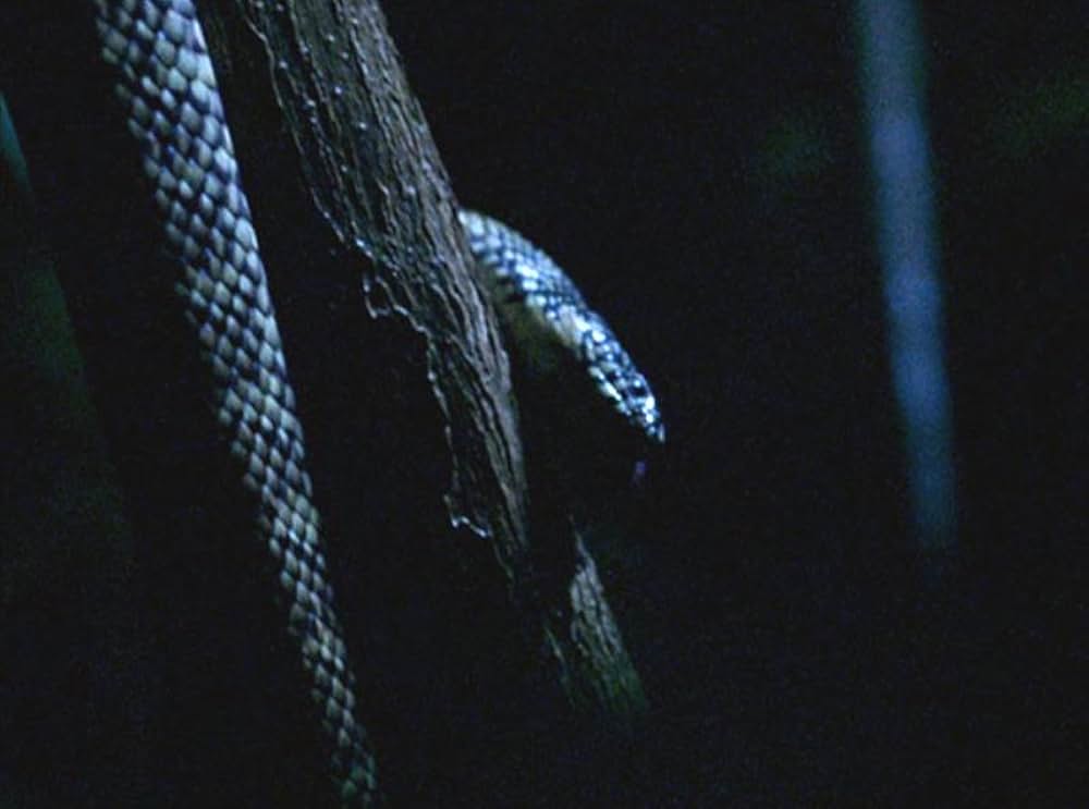 アダプテーションの画像