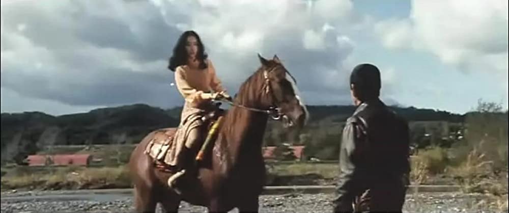 君よ憤怒の河を渉れの画像