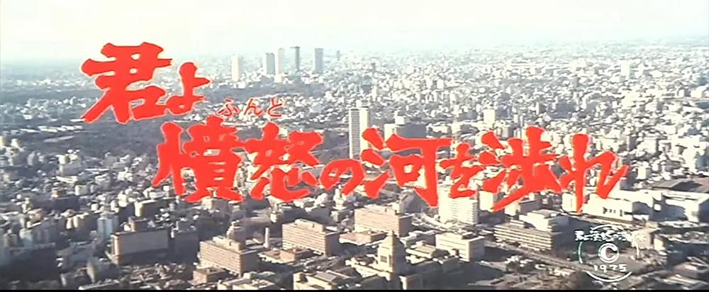 君よ憤怒の河を渉れの画像