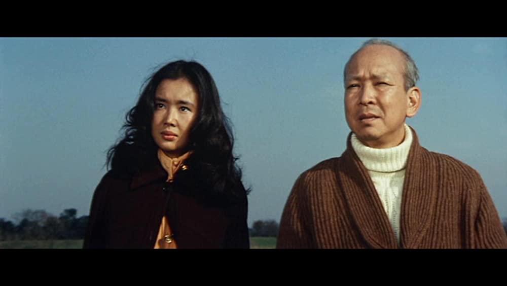 君よ憤怒の河を渉れの画像