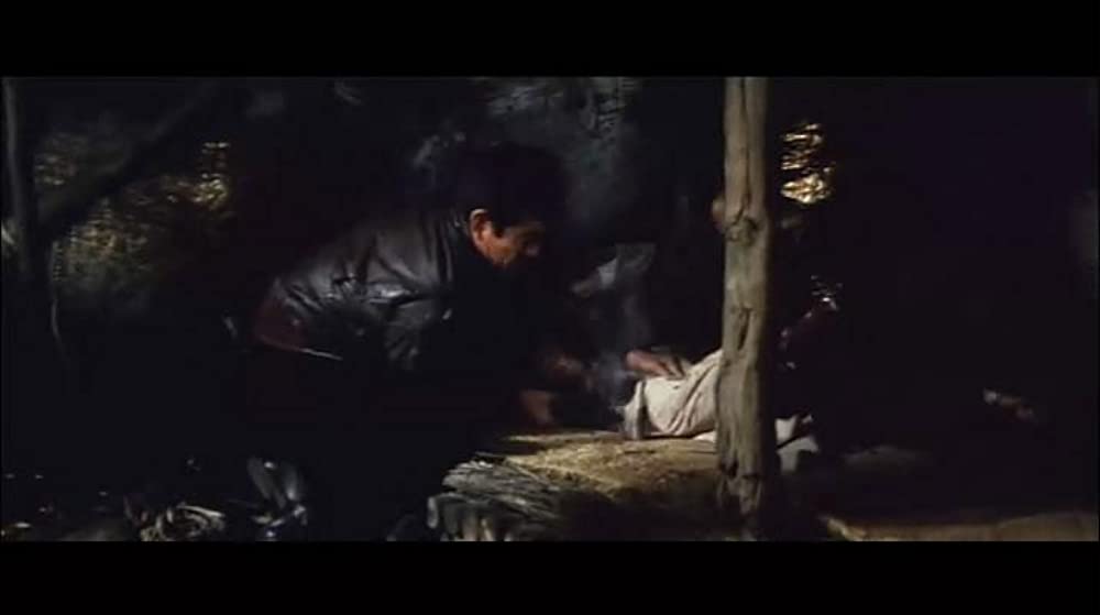 君よ憤怒の河を渉れの画像