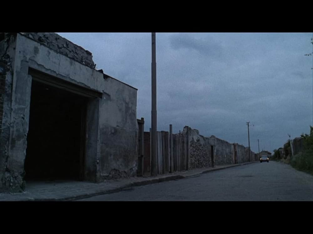 サムライの画像