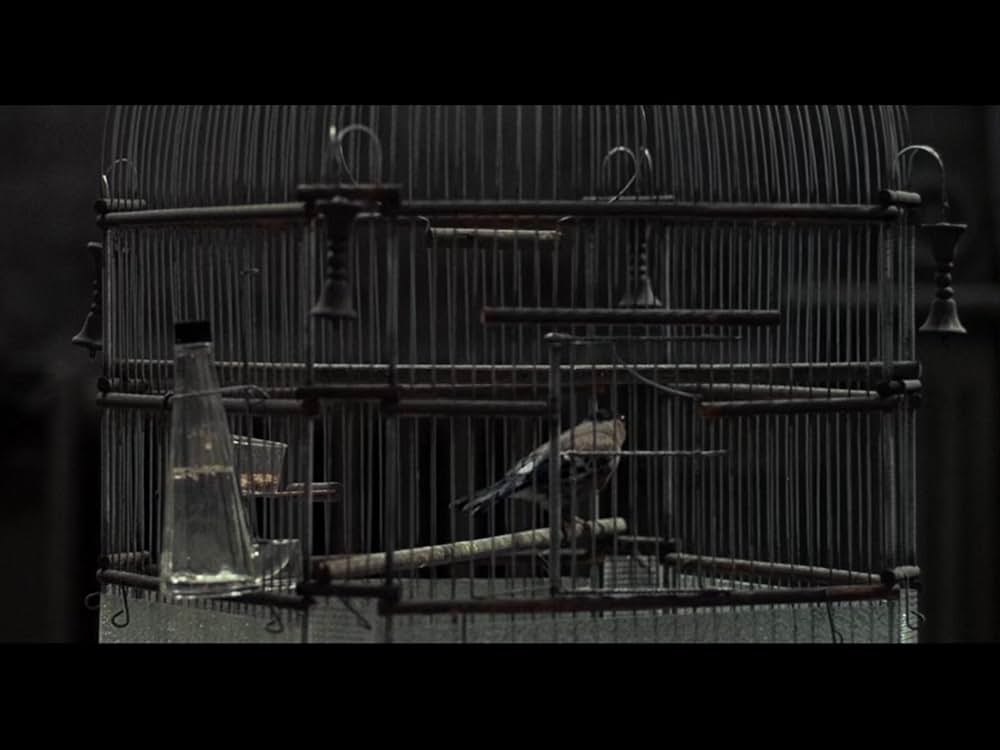 サムライの画像