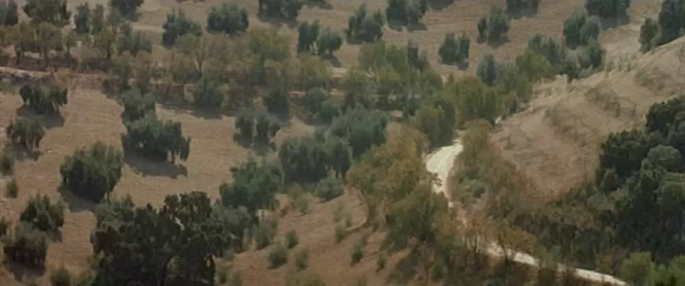 トーク・トゥ・ハーの画像