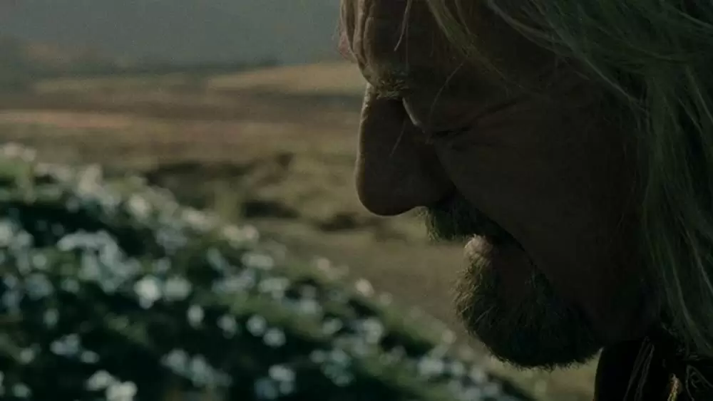 「ロード・オブ・ザ・リング／二つの塔」バーナード・ヒルの画像