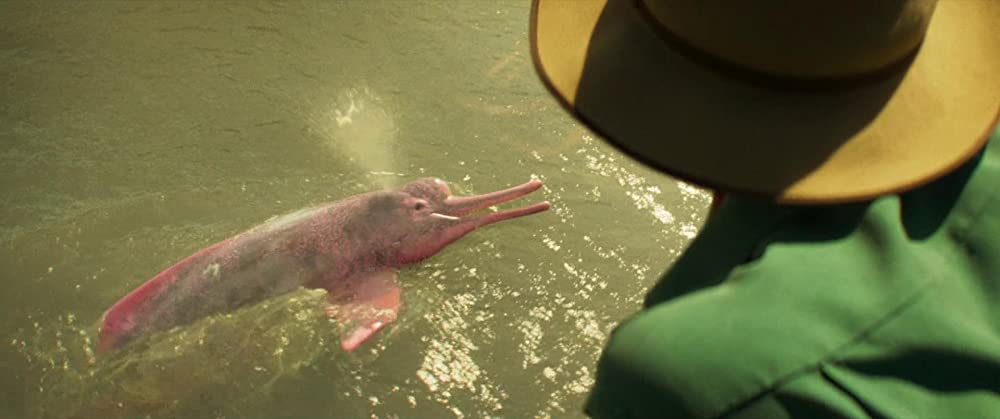 ジャングル・クルーズの画像