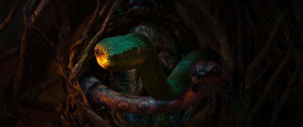 ジャングル・クルーズの画像