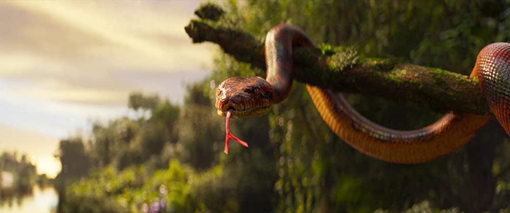 ジャングル・クルーズの画像