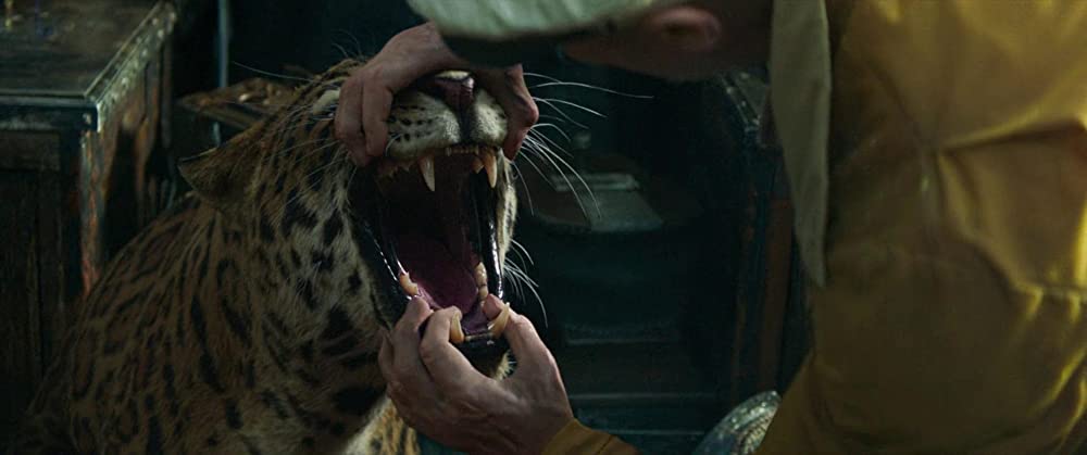 ジャングル・クルーズの画像