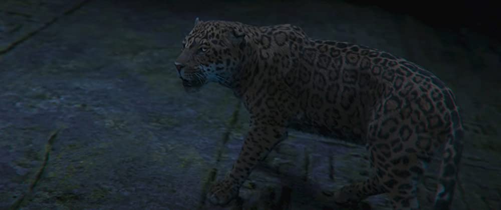 ジャングル・クルーズの画像