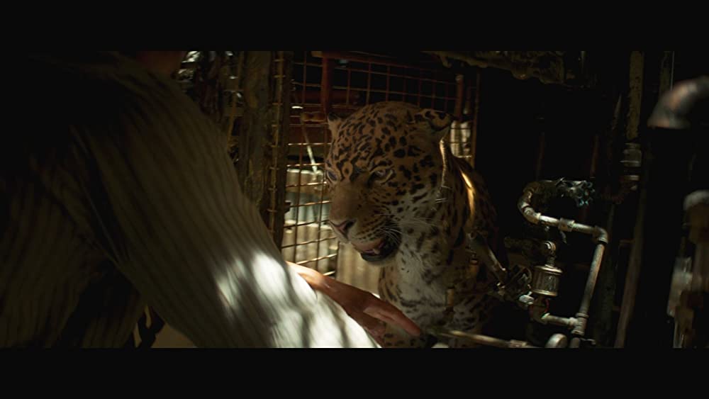 ジャングル・クルーズの画像