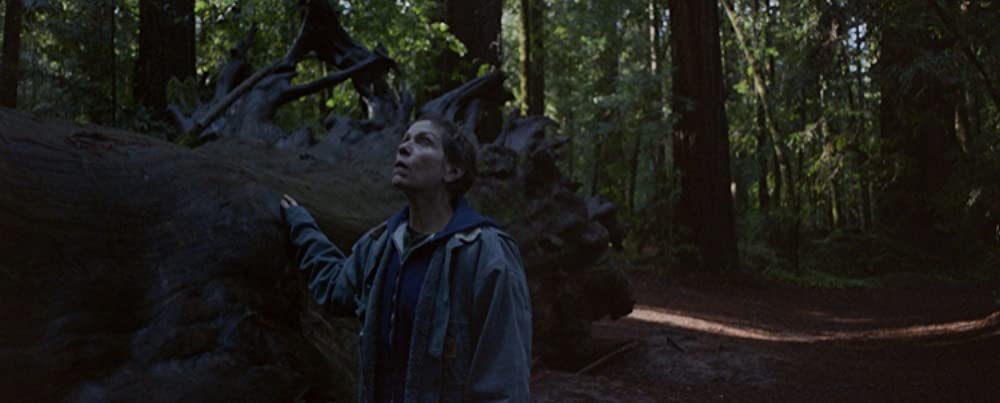 「ノマドランド」フランシス・マクドーマンドの画像