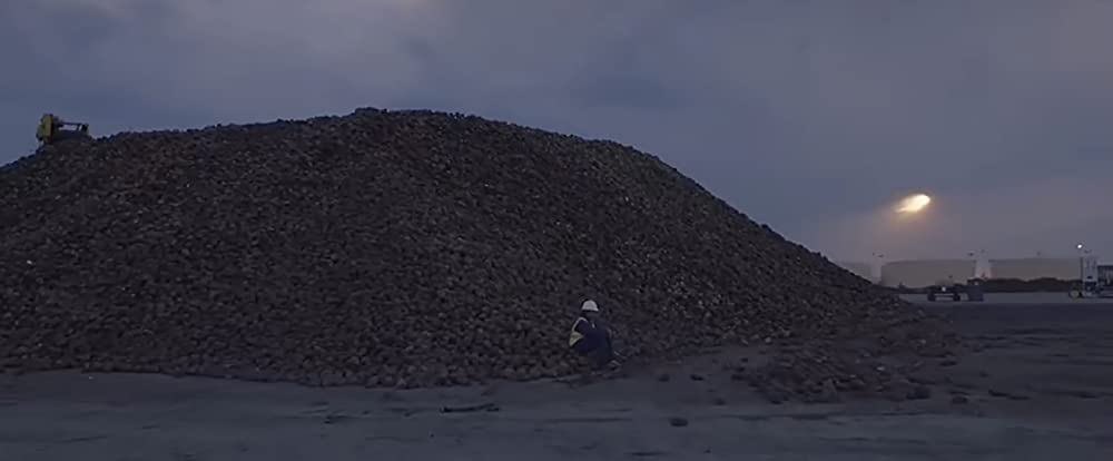 ノマドランドの画像