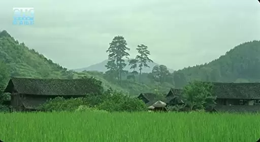 山の郵便配達の画像
