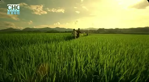 山の郵便配達の画像