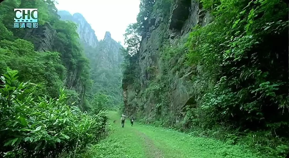 山の郵便配達の画像