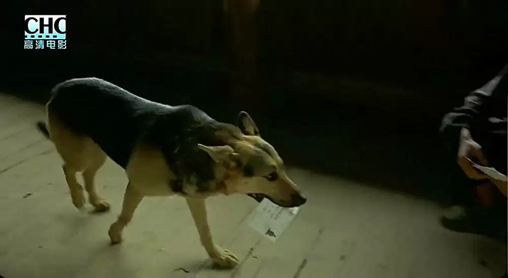 山の郵便配達の画像