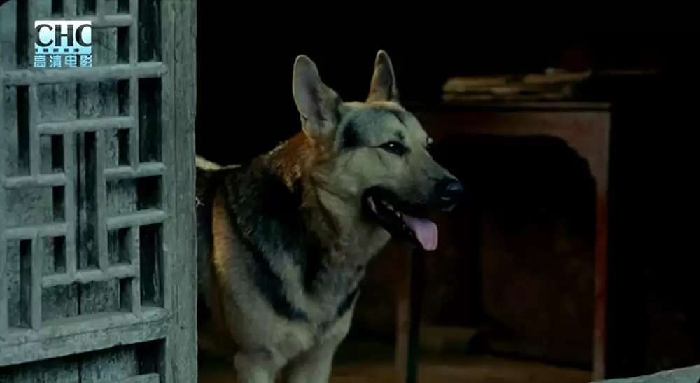 山の郵便配達の画像