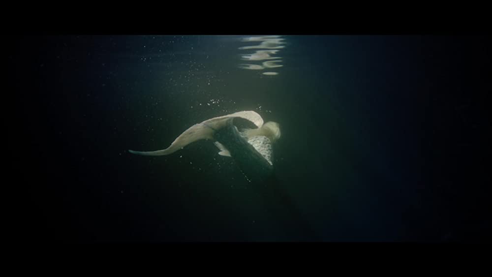 マーメイド・イン・パリの画像