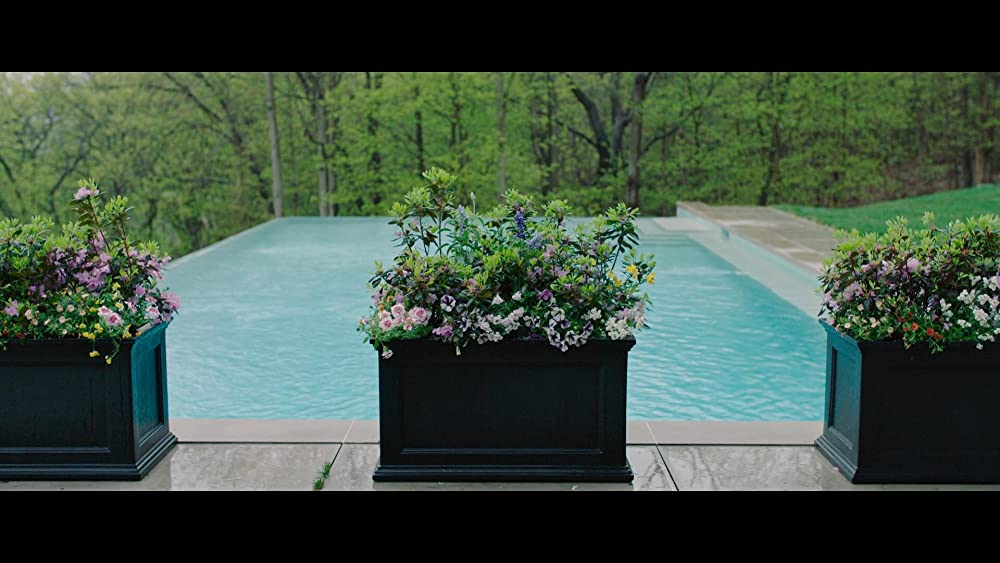 Swallow/スワロウの画像