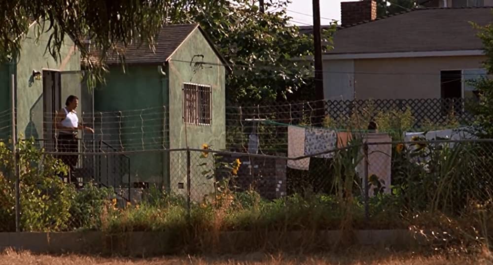 バッドデイズの画像