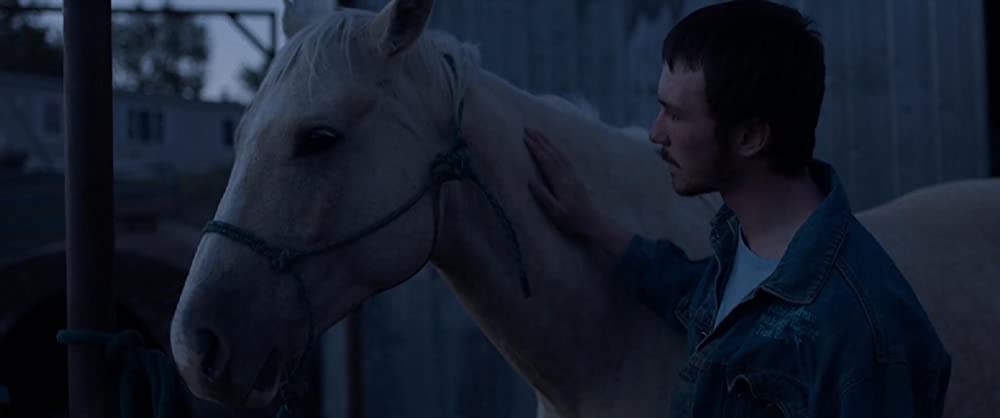 ザ・ライダーの画像