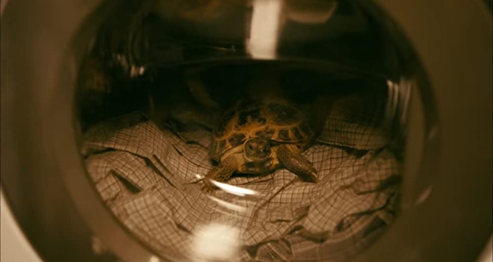 素敵なウソの恋まじないの画像