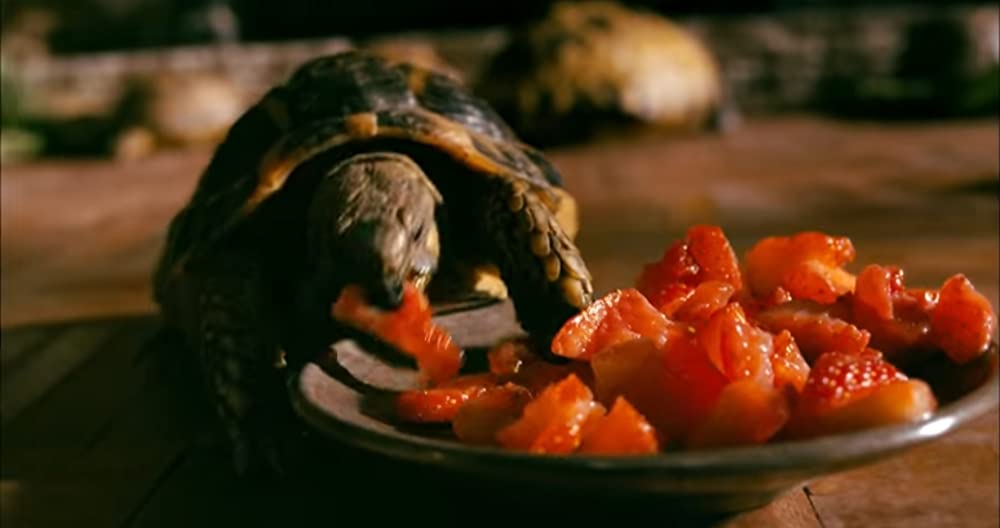 素敵なウソの恋まじないの画像