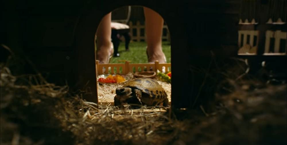 素敵なウソの恋まじないの画像