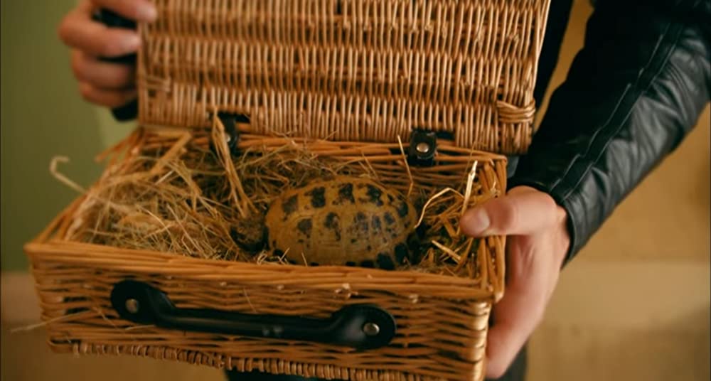 素敵なウソの恋まじないの画像